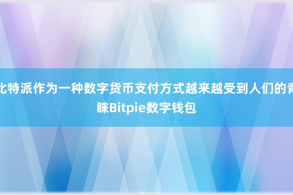 比特派作为一种数字货币支付方式越来越受到人们的青睐Bitpie数字钱包