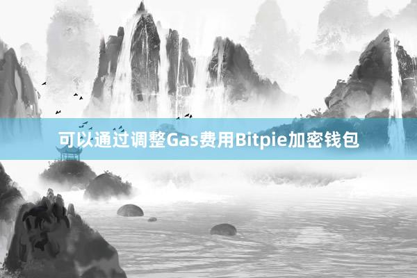 可以通过调整Gas费用Bitpie加密钱包