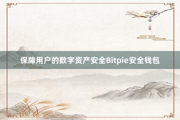 保障用户的数字资产安全Bitpie安全钱包