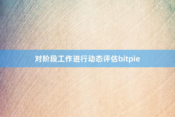 对阶段工作进行动态评估bitpie