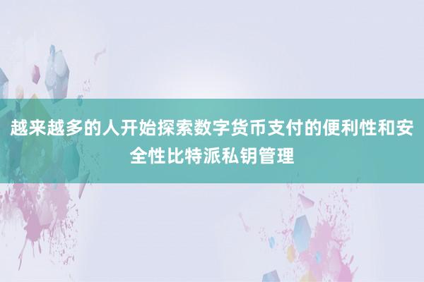 越来越多的人开始探索数字货币支付的便利性和安全性比特派私钥管理