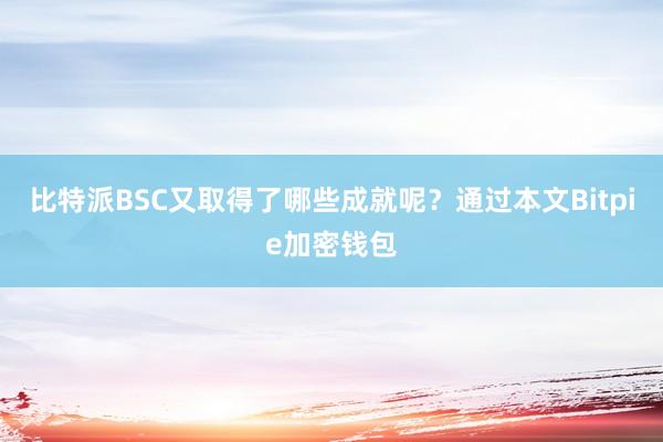 比特派BSC又取得了哪些成就呢？通过本文Bitpie加密钱包