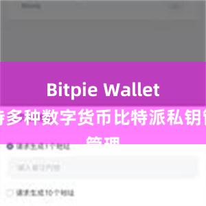 Bitpie Wallet支持多种数字货币比特派私钥管理