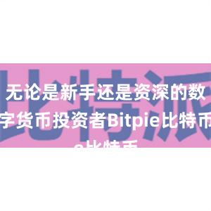 无论是新手还是资深的数字货币投资者Bitpie比特币