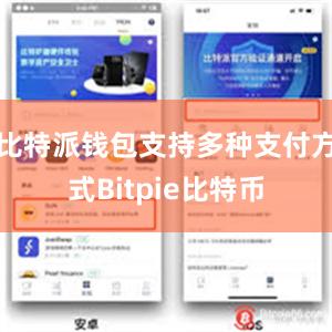 比特派钱包支持多种支付方式Bitpie比特币