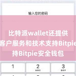 比特派wallet还提供了完善的客户服务和技术支持Bitpie安全钱包