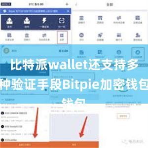 比特派wallet还支持多种验证手段Bitpie加密钱包