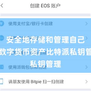 安全地存储和管理自己的数字货币资产比特派私钥管理