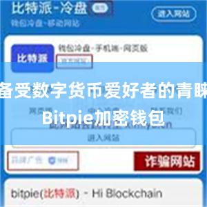 备受数字货币爱好者的青睐Bitpie加密钱包