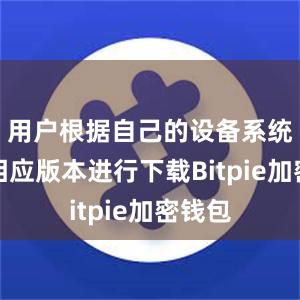 用户根据自己的设备系统选择相应版本进行下载Bitpie加密钱包