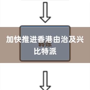 加快推进香港由治及兴比特派