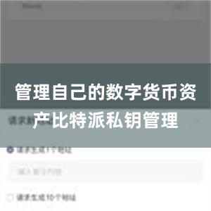 管理自己的数字货币资产比特派私钥管理